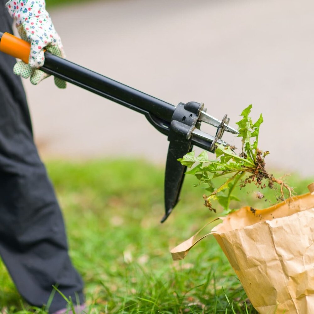 Fiskars 4-Claw Stand Up Weeder Gardening Hand Weeding Tool with 39" Long Easy - Picture 3 of 13